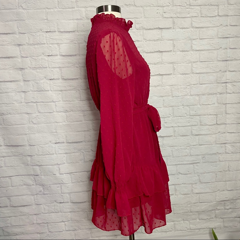 Swiss Dot Dress - image 7